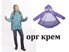 ����� ���� - 2430 ���