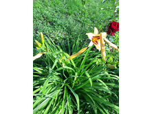 25�-130 ���..jpg