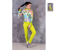 ������ ���������� ����� ����� 1505 ���.