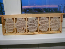 ��������� � ������� ����� � ���������.JPG