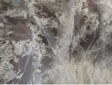 ������� ������ ����� 1,75� � ����