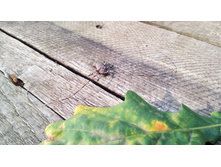 IMG 20170820 162210.jpg