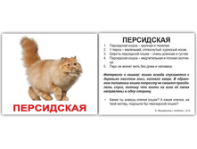 �������� �������� ����-20 "������ �����" �������: 1536 - 69 ���.