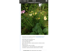 ������ ���� ����