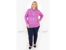 ��������� V011.17