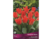 ������� �������� �����.jpg