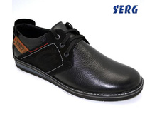 �� 36 ���� ����