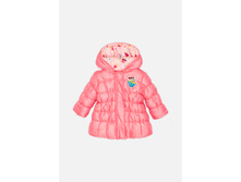 22250130008   Vulpix          .jpg