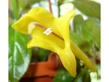 �������� Jeanna Katzen (���� ����) - �/� 120 ���.jpg