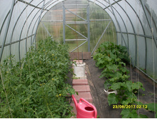 SDC11630.JPG