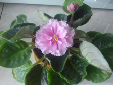 ��=�������� �����