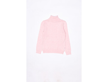 20220320018   Sparrow          (      ).jpg