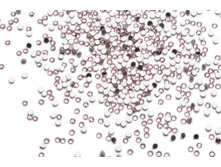 880 ���. - ������ �������� 1440 ��. ������� ?05