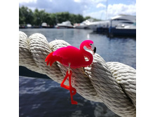 ����� ��������.���������