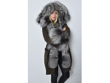 � ����.����