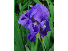 ���� ���������� ���������� 80 ���.jpg