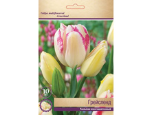 ������� ���������.jpg