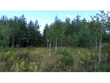 IMG 20170805 150135.jpg