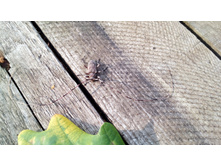 IMG 20170820 162244.jpg