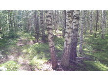 IMG 20170805 135428.jpg