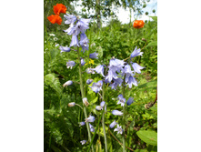 ����������� 037.jpg