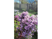 9-100���. �����.jpg