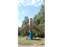 IMG 20170730 150548.jpg