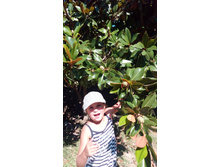 IMG 20170801 145044.jpg