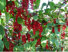 �������� ���������, 2-�����, 100���.jpg