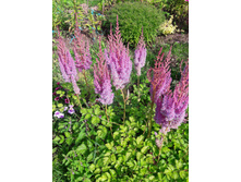 26-120��� ��������.jpg