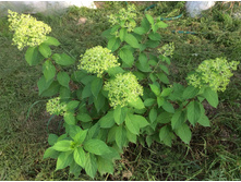 �������� ����� - �������� ���� ������.