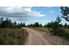 IMG 20170805 155522.jpg