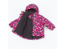 Taika_2429 ������_2600�