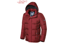 ������ Braggart Dress Code - ������� 2045C ������� 4850�..png