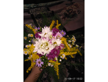 IMG 20170831 102237.jpg