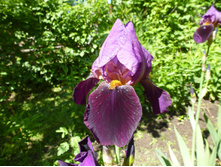 ����������� 050.jpg