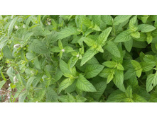 1-30 ��� ����.jpg