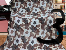 5982d1ab3fe0d image 1.jpg