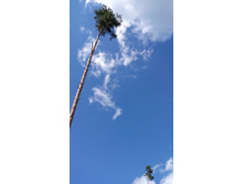 IMG 20170805 132457.jpg