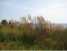 IMG 3840.JPG