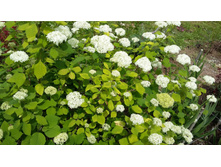 4-130 ���.������ ��������.jpg