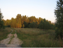 IMG 3816.JPG