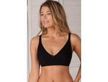 2202 ���� ������ ��� ���������