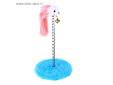 ��������� ��� ����� �� ������� � ����� (5 ��), 10,5 � 23 ��, ���� ������ 92,5��� �� 2��