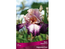 ���� ��������� �������� ����.jpg