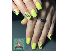 ���������� �������. ������ ������.jpg