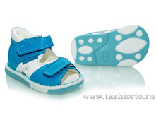 160-71 ������� �������/�����, ����, 2 ���� �.17-20 - 1350 ���