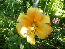 ����������� 105.jpg