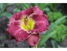 ���� ������.JPG