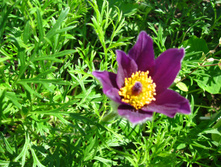 IMG 5401.JPG